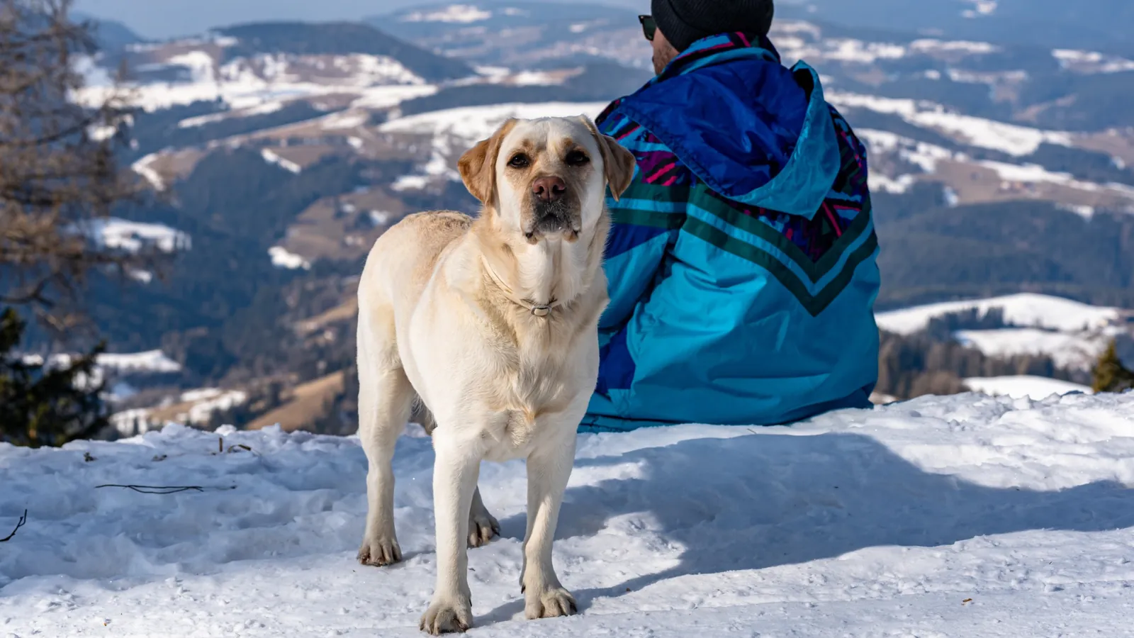 Luna à la montagne